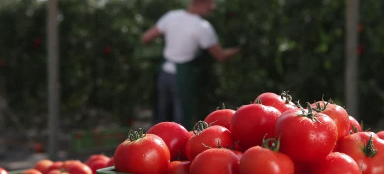 In Protocollo il nostro progetto con Coldiretti: il Villaggio Solidale contro il caporalato