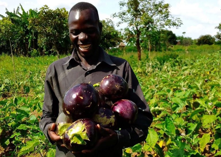 Cooperazione & Sviluppo – “Agribusiness per giovani agricoltori nel nord Uganda”