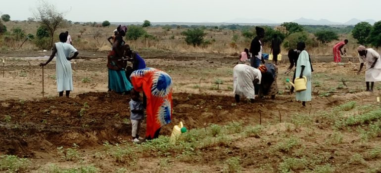 VIDES –  “Women empowerment e sviluppo agricolo sostenibile per il raggiungimento della sicurezza alimentare in Sud Sudan”