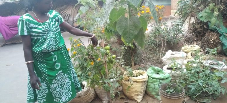 IL SORRISO DEI POPOLI – “Progetto di generazione di reddito post COVID: valore aggiunto all’agricoltura familiare”