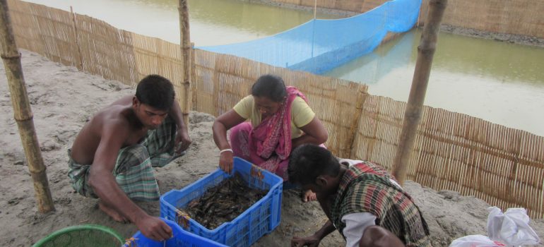 COE – Sicurezza alimentare e salute delle minoranze Dalit