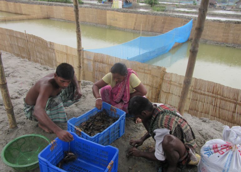 COE – Sicurezza alimentare e salute delle minoranze Dalit