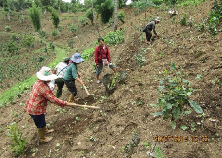 New Humanity International – Agroforestazione nello Stato Shan