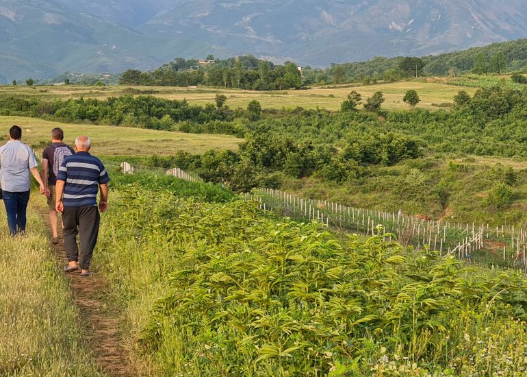 MLFM – Albania – alle periferie d’Europa