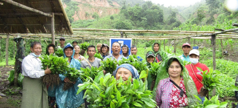 New Humanity International – Agrofrestazione nello stato Shan