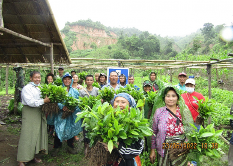 New Humanity International – Agrofrestazione nello stato Shan