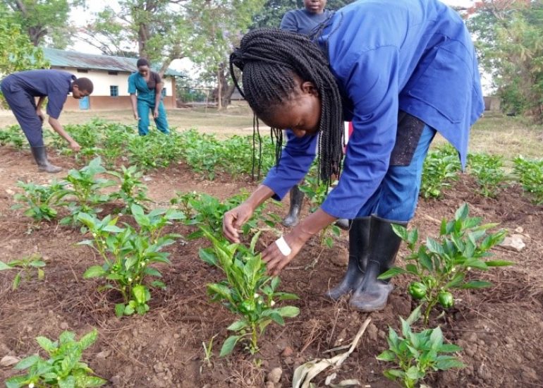 AFRICA MISSION – Agribusiness per giovani agricoltori nel nord dell’Uganda