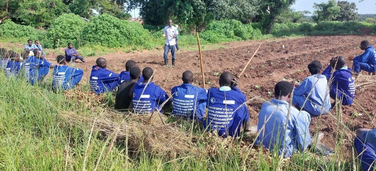 Africa Mission – Cooperazione e Sviluppo – Agribusiness per giovani agricoltori nel nord Uganda