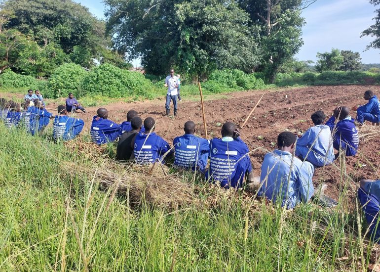 Africa Mission – Cooperazione e Sviluppo – Agribusiness per giovani agricoltori nel nord Uganda