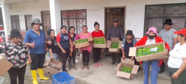 CELIM BERGAMO – Vivir bien en Amazonia: Programma di sovranità alimentare e sviluppo umano nella provincia di Zamora-Chinhipe