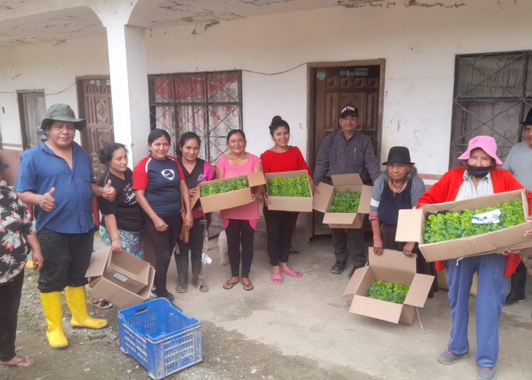 CELIM BERGAMO – Vivir bien en Amazonia: Programma di sovranità alimentare e sviluppo umano nella provincia di Zamora-Chinhipe