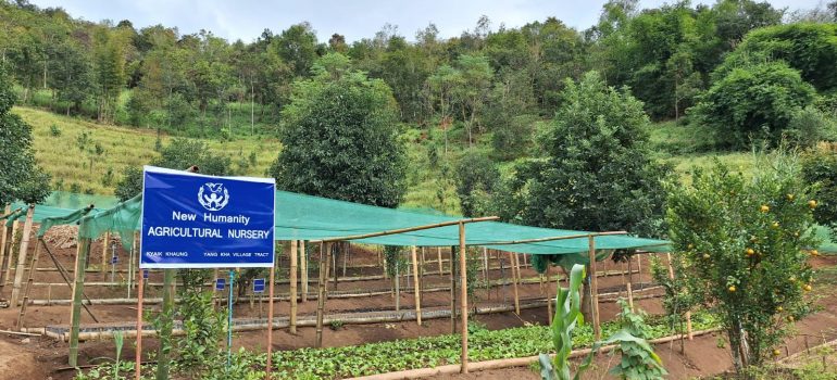 New Humanity International – Agro-forestazione nello stato Shan