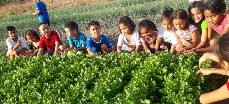 Amici del Brasile – Progetto di Educazione Complementare