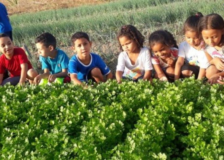 Amici del Brasile – Progetto di Educazione Complementare