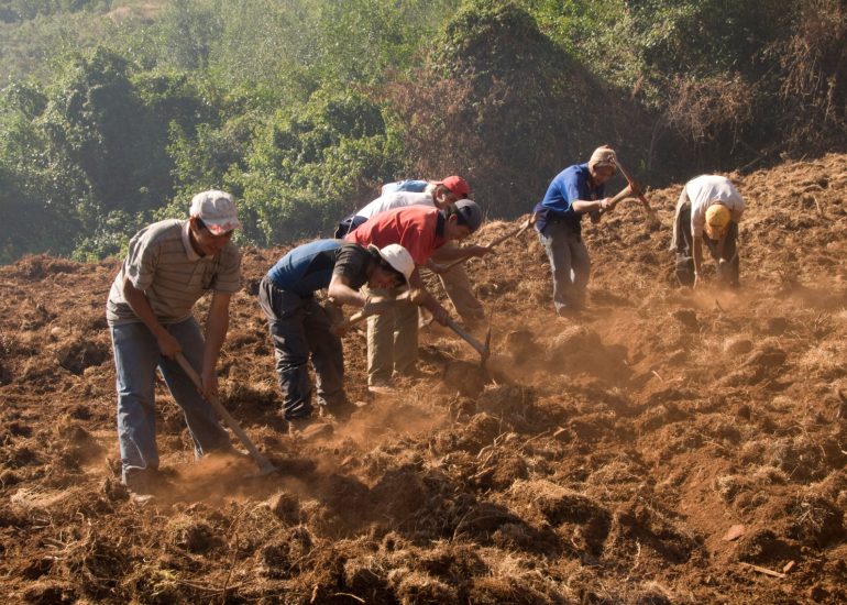 ISCOS LOMBARDIA – Perù, latte fonte di vita
