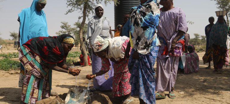 CISV – Agricoltura, alimentazione e nutrizione in Niger