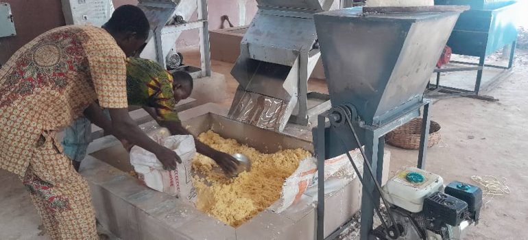 ESSEGIELLE – Una Farm solidale a Umuaji Imezi-Owa in Enugu State