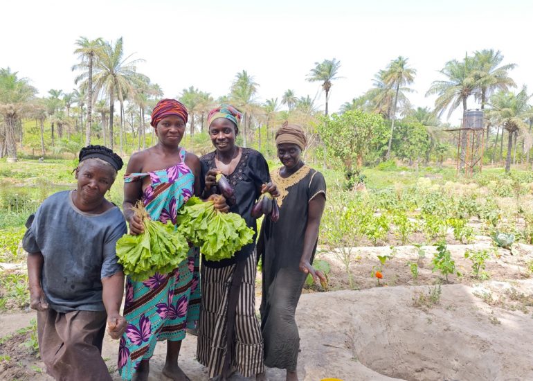 COPE – IL GIARDINO DELLE DONE GUINEANE